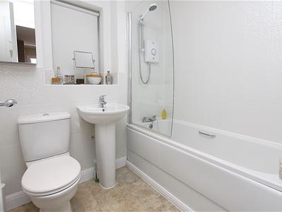 Picture 15